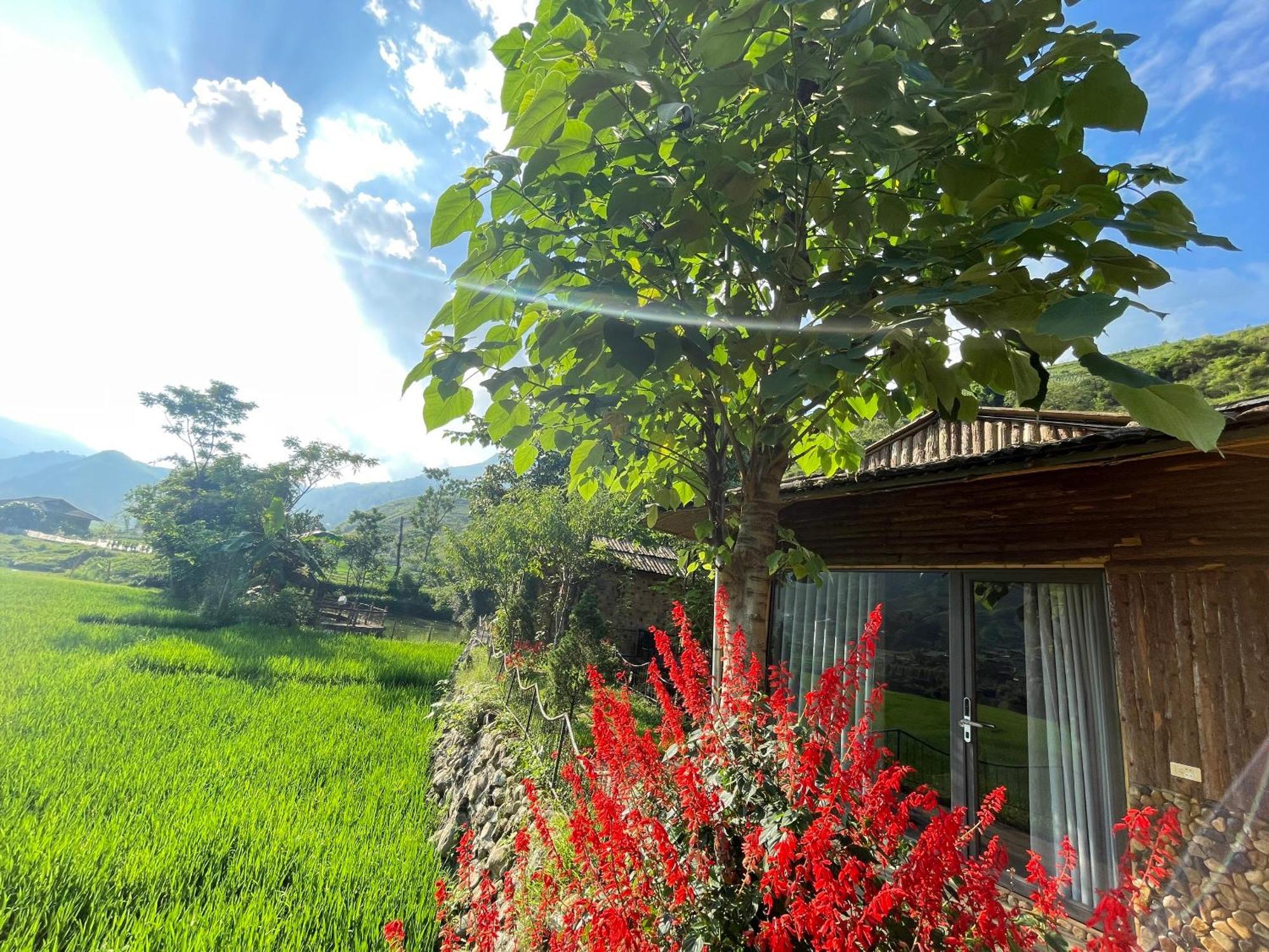 Sapa Bamboo Eco ξενώνας Εξωτερικό φωτογραφία