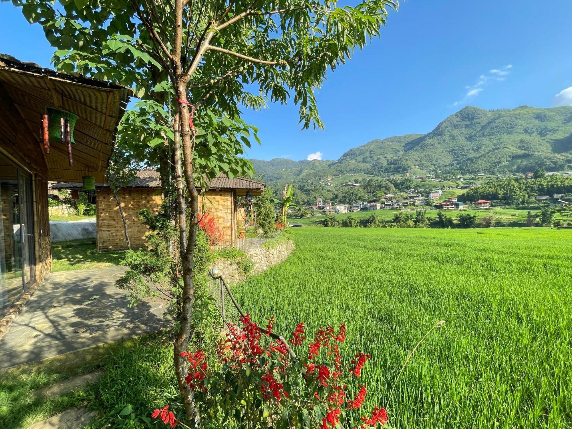 Sapa Bamboo Eco ξενώνας Εξωτερικό φωτογραφία